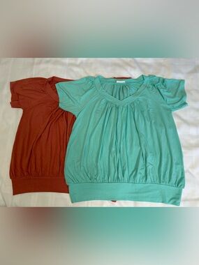 💚🧡NWOT 2 Pack of Zenana Buttery-soft Short Sleeve Scoop Neck Tops, 2X